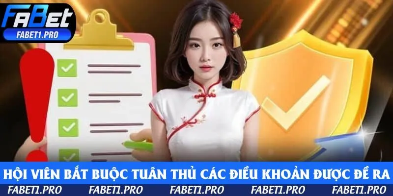 Hội viên bắt buộc tuân thủ các điều khoản mà hệ thống đề ra
