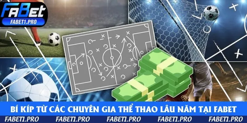 Bí kíp từ các chuyên gia thể thao lâu năm tại Fabet 