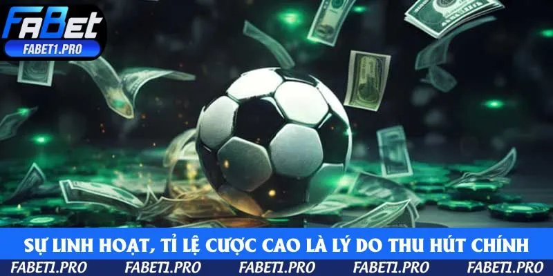 Sự linh hoạt, tỉ lệ cược cao là lý do chính khiến người chơi bị thu hút