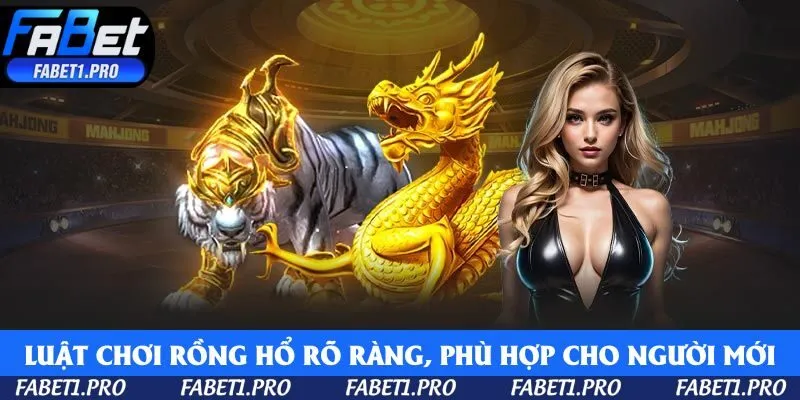 Luật chơi Rồng Hổ đơn giản, rõ ràng, phù hợp cho người mới