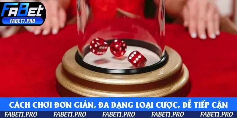 Cách chơi đơn giản, đa dạng loại cược, dễ tiếp cận cả với người mới