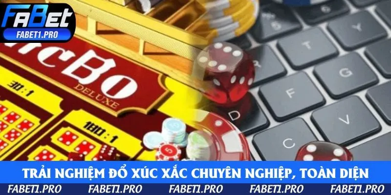 Trải nghiệm đổ xúc xắc chuyên nghiệp, toàn diện: đẹp, nhanh, dễ chơi 
