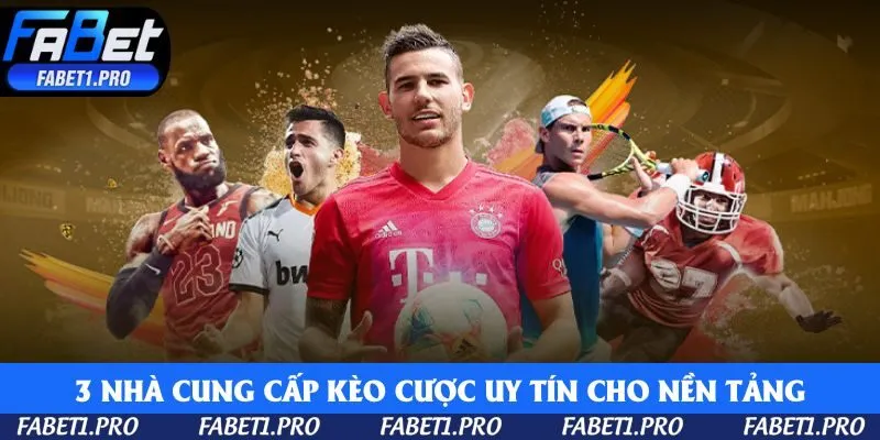 3 nhà cung cấp kèo cược uy tín cho nền tảng