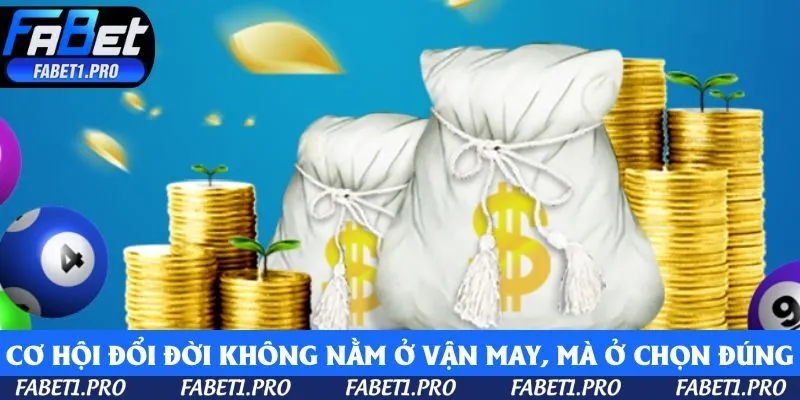 Cơ hội đổi đời không nằm ở vận may, mà ở lựa chọn đúng